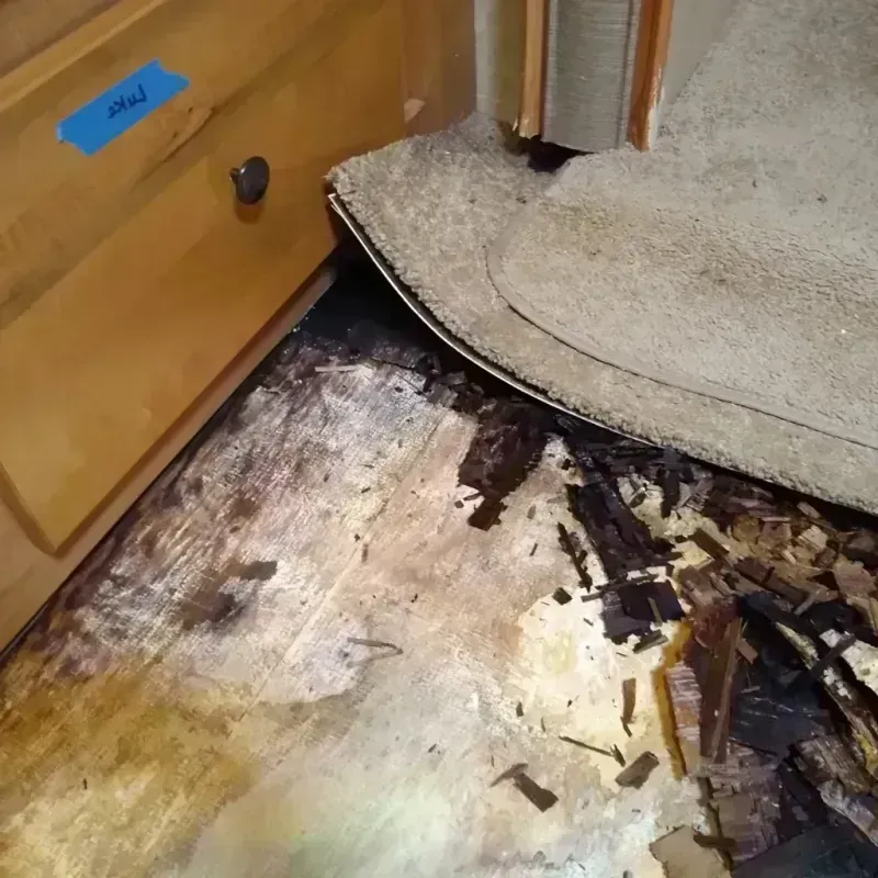 Best Wood Floor Water Damage Service in Jamestown, ND